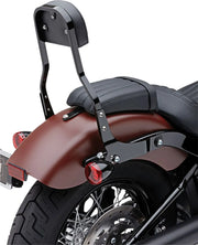 Cobra Detachable Backrest Kit