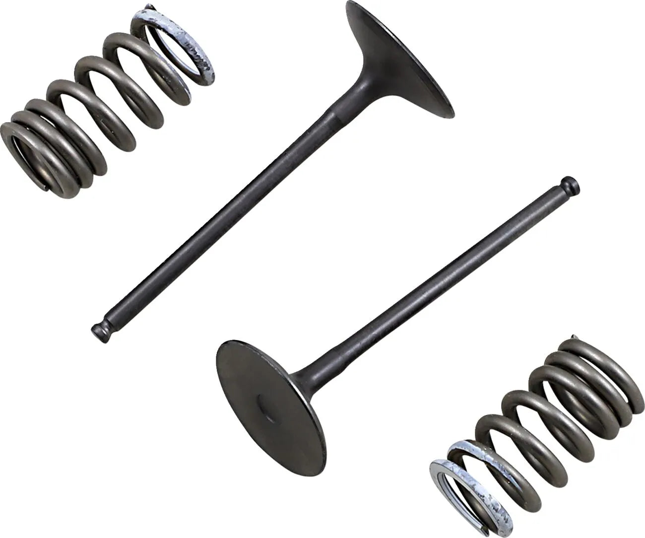 Prox Valve And Spring Kit - Steel Valves