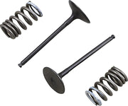 Prox Valve And Spring Kit - Steel Valves