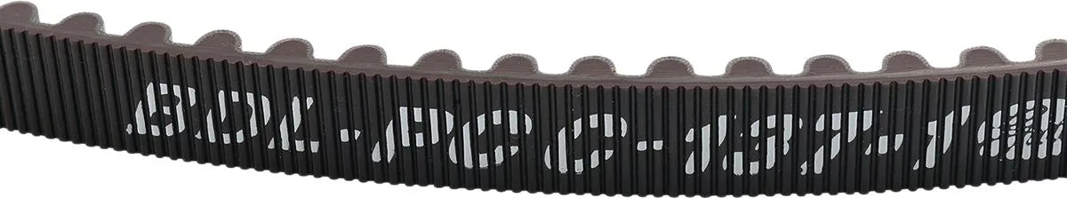 Belt Drives Ltd. 24 Mm Rear Drive Belt