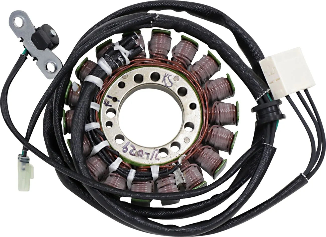 Rick's Motorsport Electric Oem Style Stator