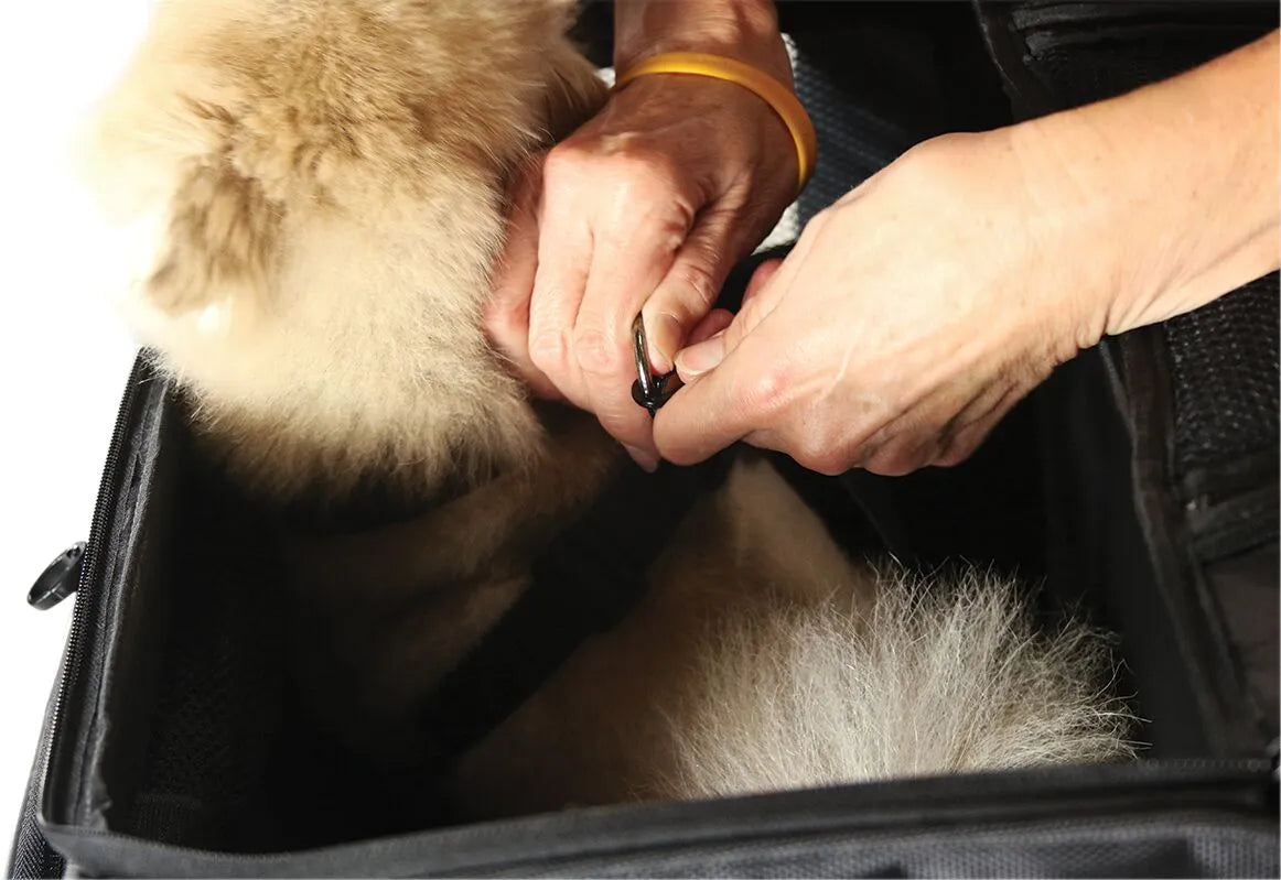 Nelson Rigg Route 1 Rover Pet Carrier