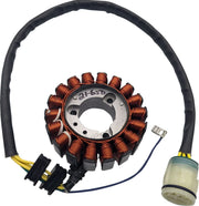 Rick's Motorsport Electric Stator
