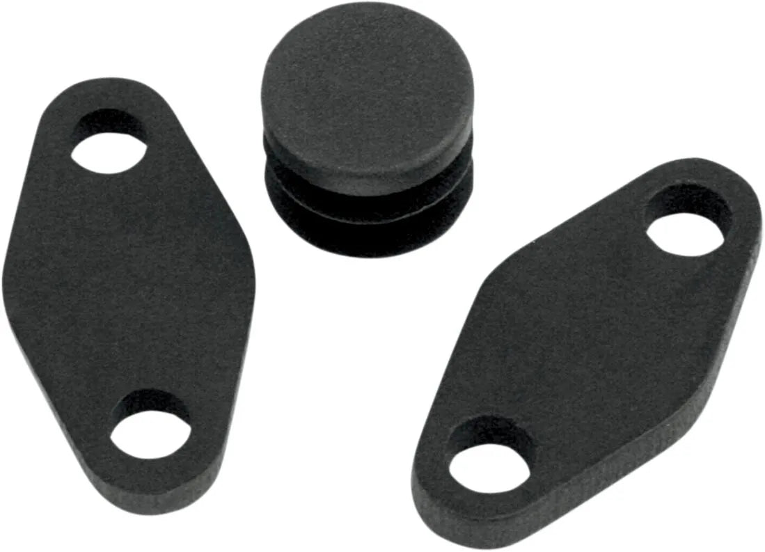 Baron Air Injection Removal Kit