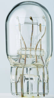 Flosser Filament Glass Wedge Bulbs - 12v