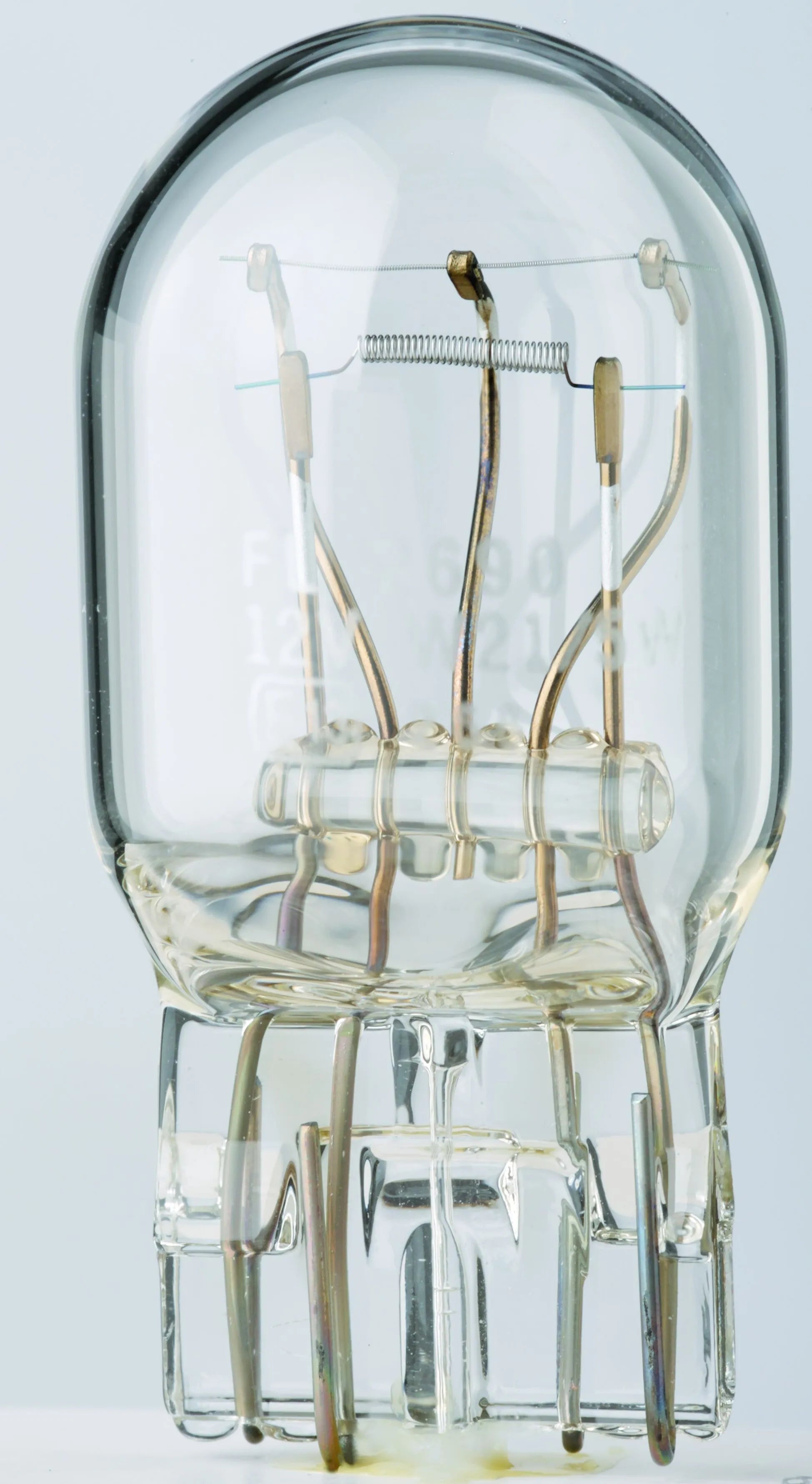 Flosser Filament Glass Wedge Bulbs - 12v