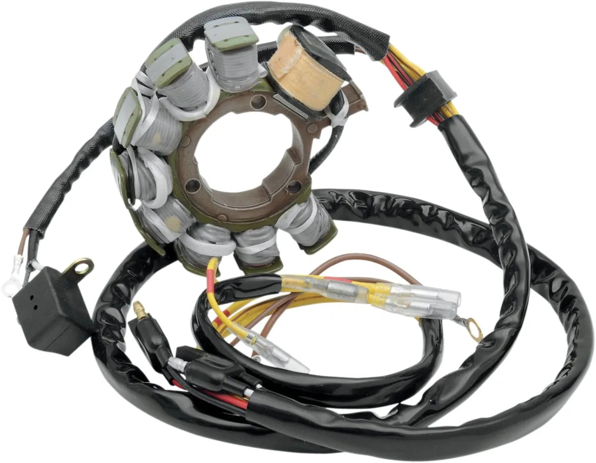 Rick's Motorsport Electric Stator For Polaris