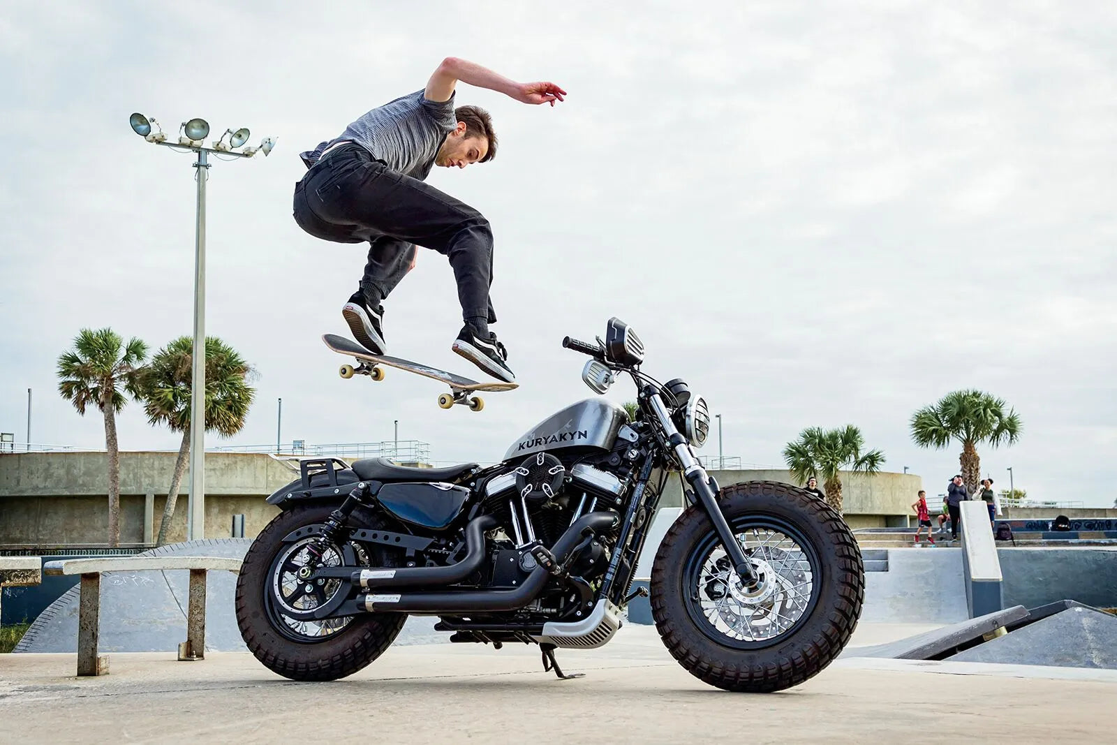 Kuryakyn Dillinger Luggage Rack For Harley-davidson