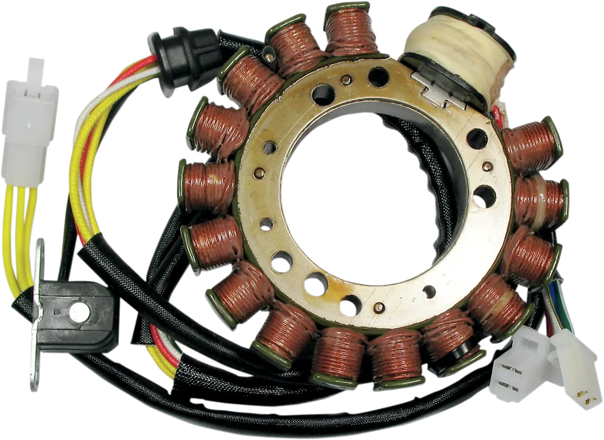 Rick's Motorsport Electric Stator For Suzuki
