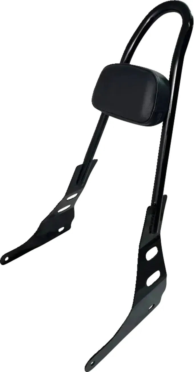 Motherwell One-piece Sissy Bar