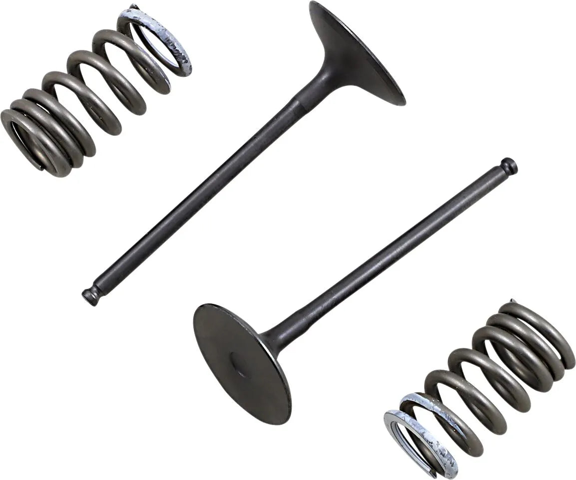 Prox Valve And Spring Kit - Steel Valves