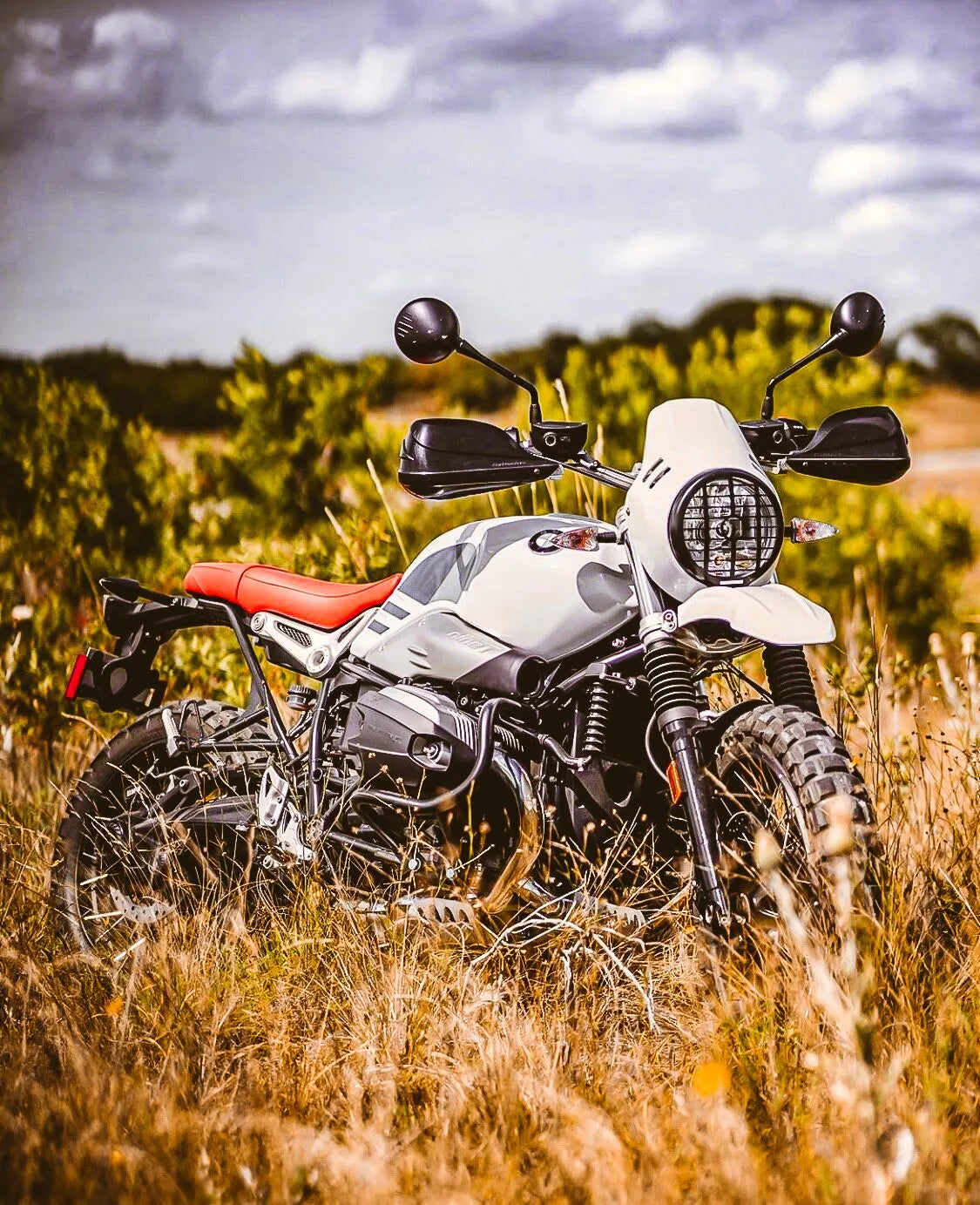 Barkbusters Storm Plastic Guards - Black