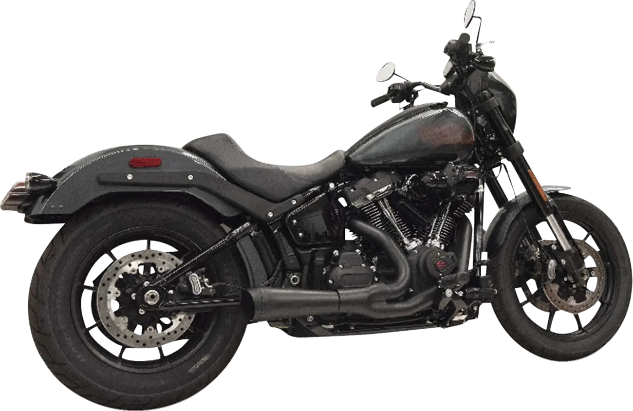 Bassani Xhaust 2-into-1 The Ripper Exhaust System