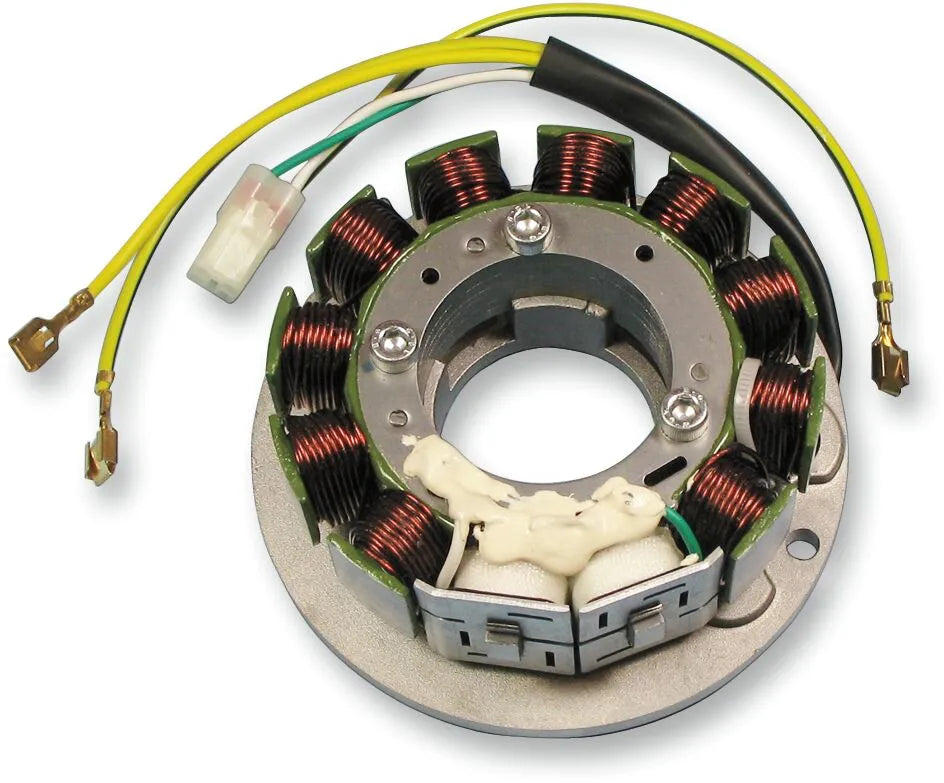 Rick's Motorsport Electric Stator For Ski Doo