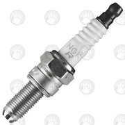 Ngk Spark Plugs Special Spark Plug - Superior Ignition