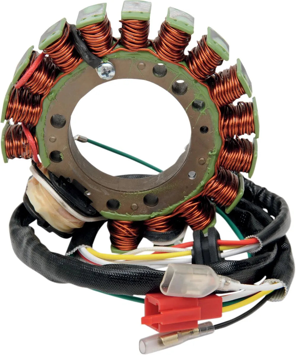 Rick's Motorsport Electric Stator