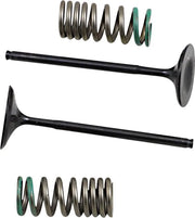 Prox Valve And Spring Kit - Steel, Nitrided Valves