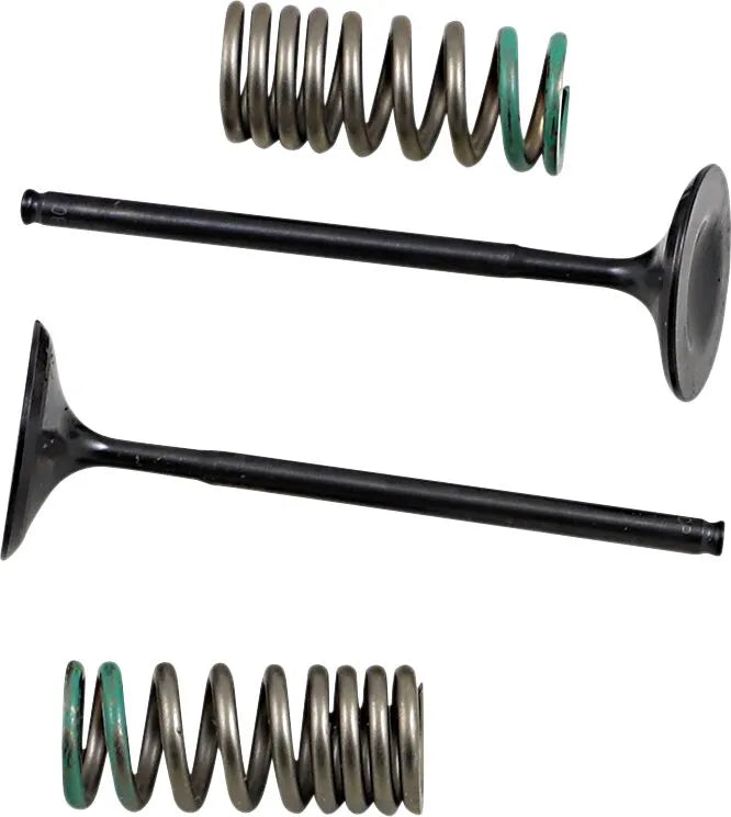 Prox Valve And Spring Kit - Steel, Nitrided Valves