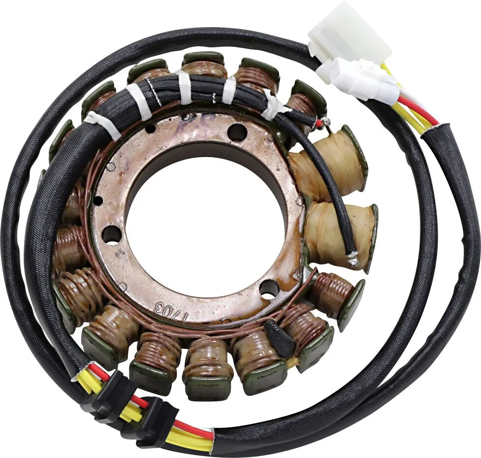 Rick's Motorsport Electric Oem Style Stator