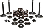 Kibblewhite Engine Valve Kit
