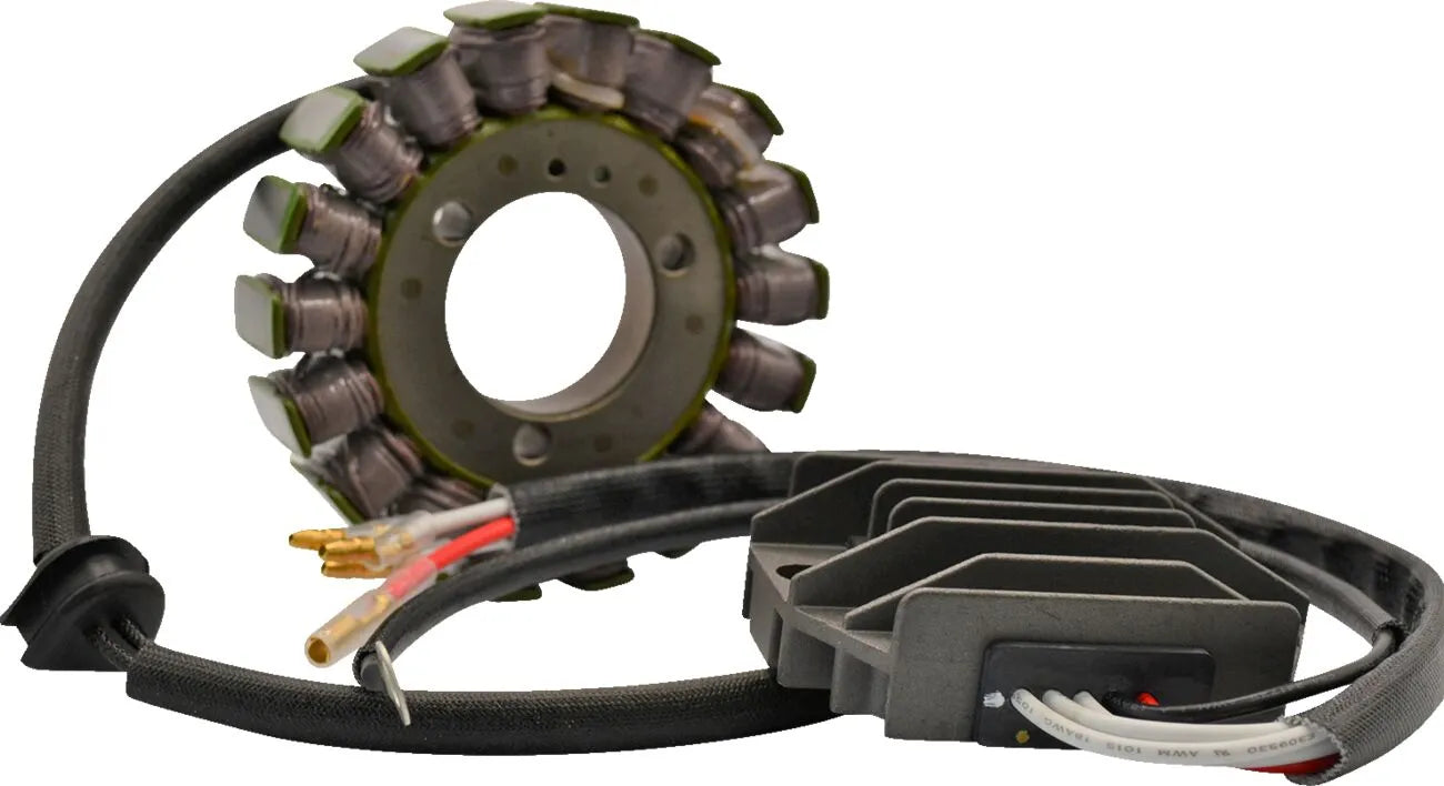 Rick's Motorsport Electric Lithium-ion Charging Kit