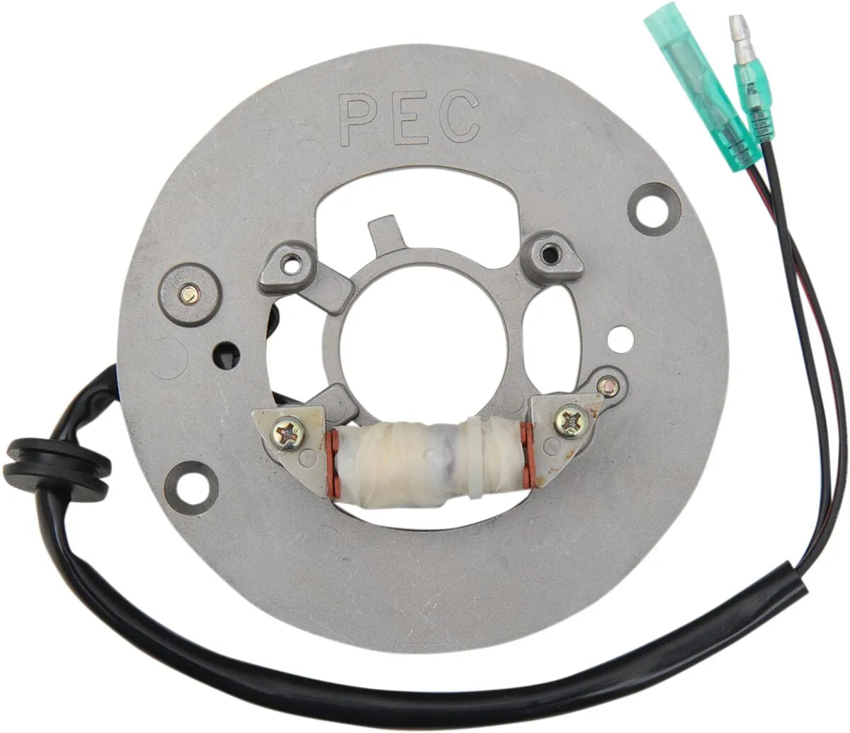 Rick's Motorsport Electric Stator For Yamaha