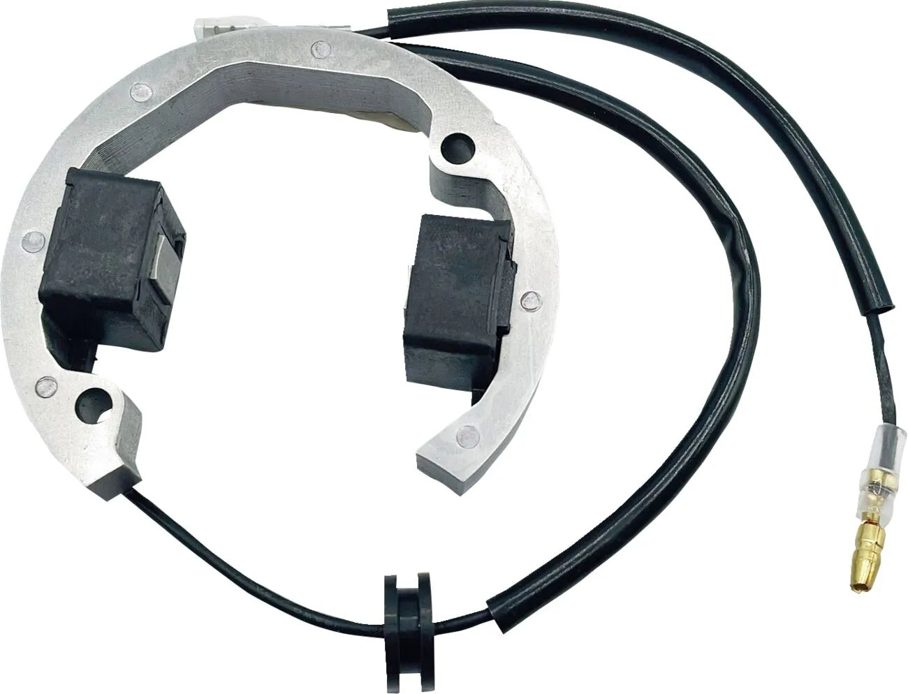 Rick's Motorsport Electric Stator