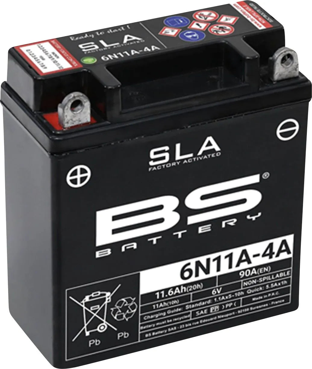 Bs Battery Agm Maintenance-free 6v Battery
