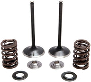 Kibblewhite Stainless Steel Valve & Spring Kit