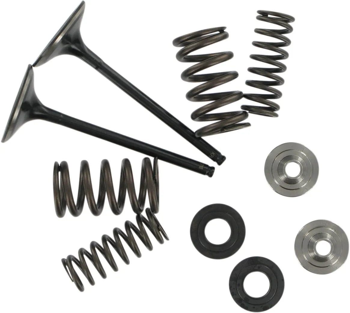 Kibblewhite Stainless Conversion Valve And Spring Kit