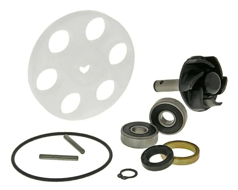 101 Octane Water Pump Repair Kit