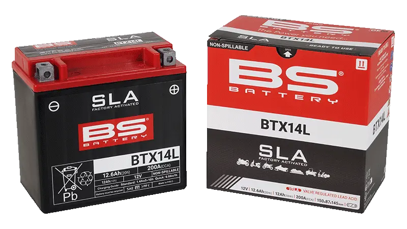 Bs Battery Agm Battery - 12 Ah, 200 Cca