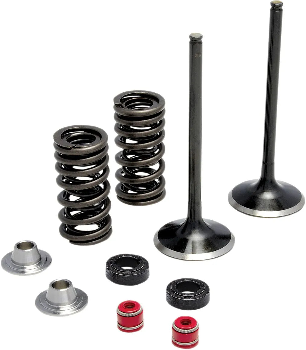 Kibblewhite Stainless Steel Intake Valve Spring Kit