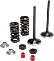 Kibblewhite Stainless Steel Intake Valve Spring Kit