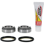 Pivot Works Steering Head Bearing Kit