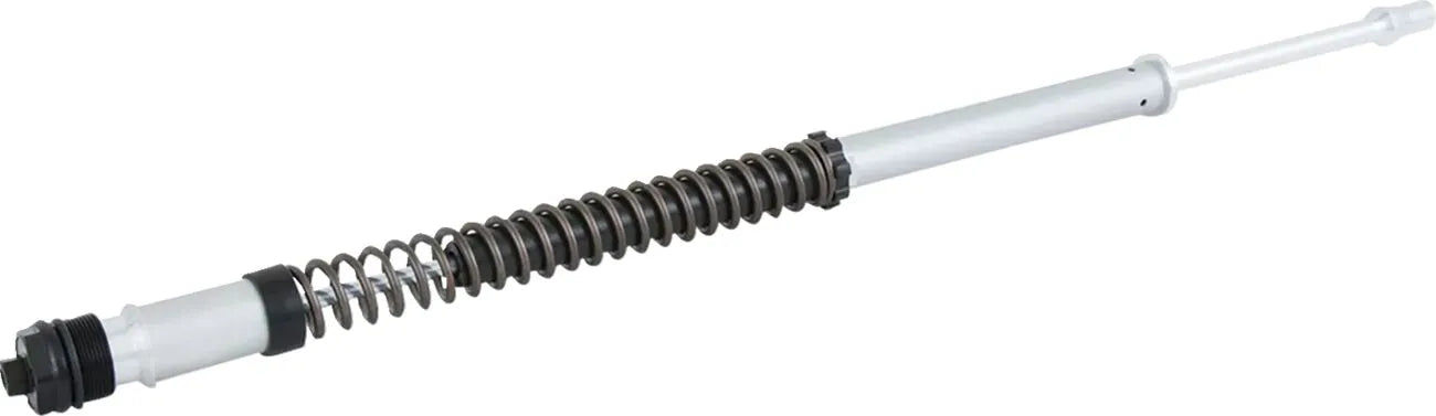 Ohlins Fork Cartridge Kit For Improved Handling