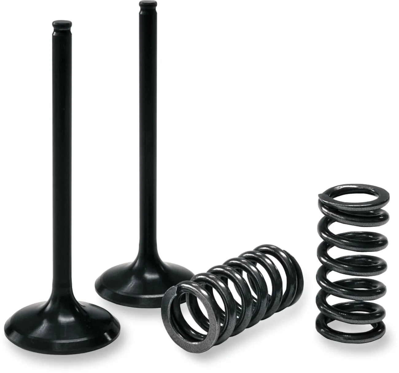Prox Valve And Spring Kit - Steel Valves
