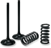 Prox Valve And Spring Kit Steel Nitrided Valves