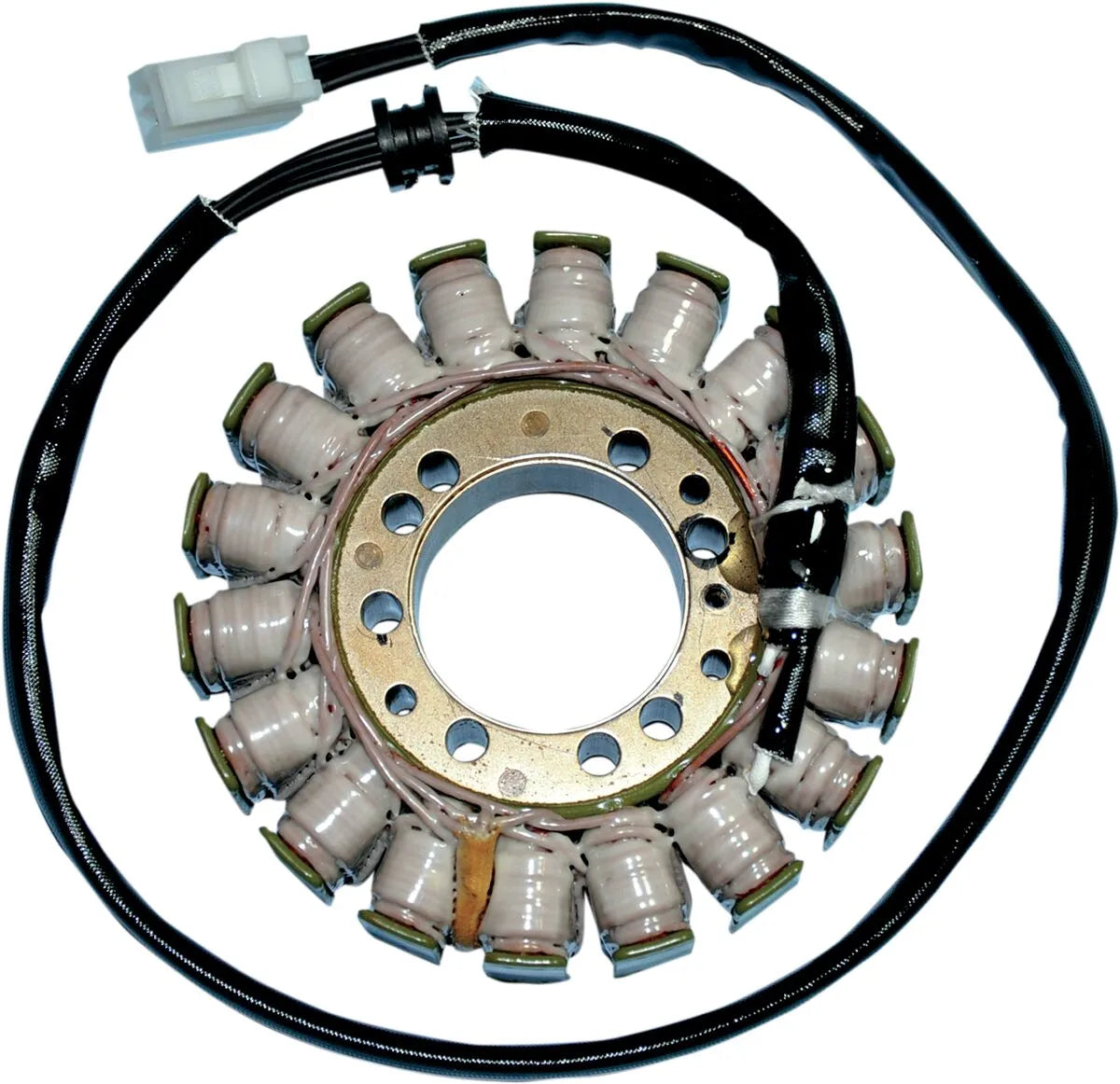 Rick's Motorsport Electric Stator For Triumph