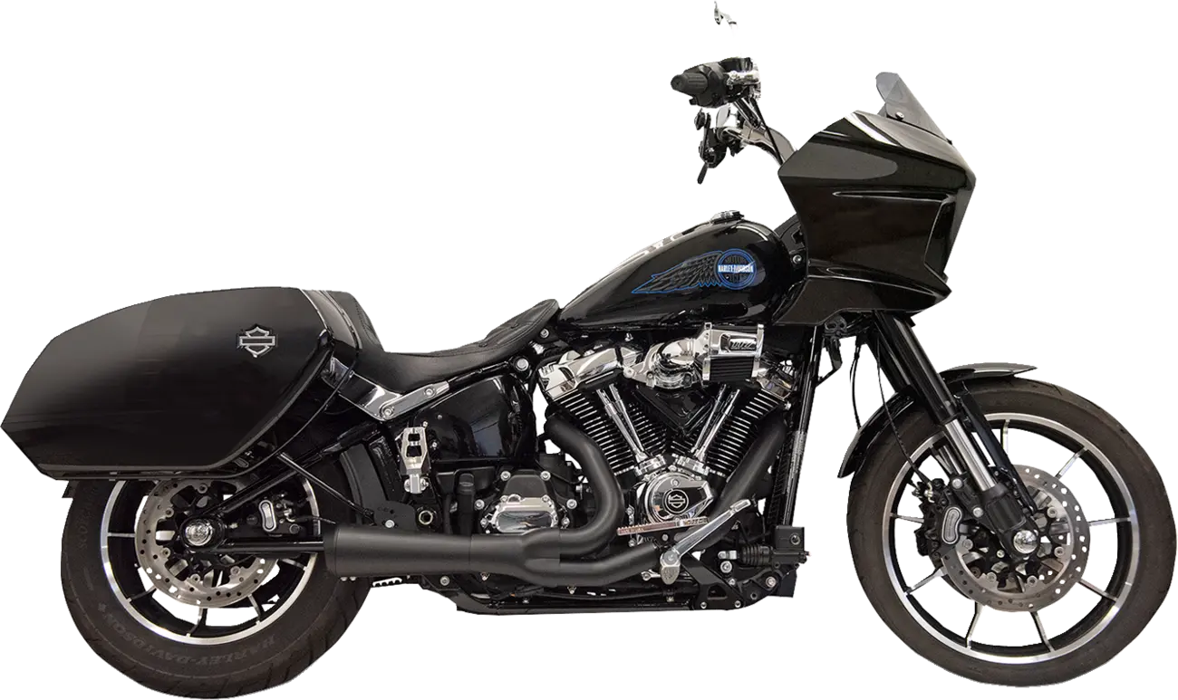 Bassani Xhaust 2-into-1 Ripper Exhaust System