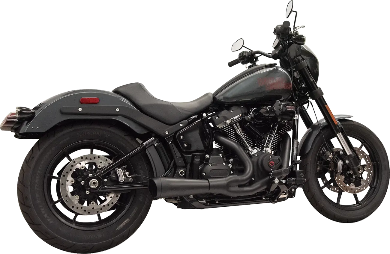 Bassani Xhaust 2-into-1 The Ripper Exhaust System