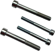 Custom Acces Sissybar & Saddlebag Mounting Kit