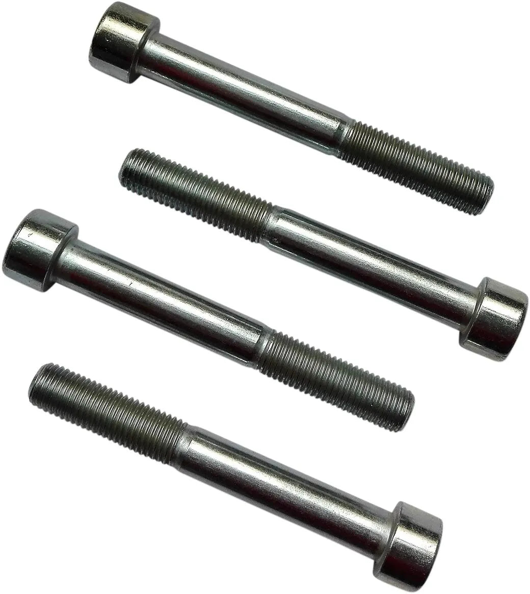 Custom Acces Sissybar & Saddlebag Mounting Kit