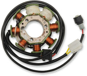 Rick's Motorsport Electric Stator
