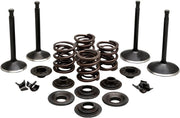 Kibblewhite Engine Valve Kit Black Diamond Stainless Steel