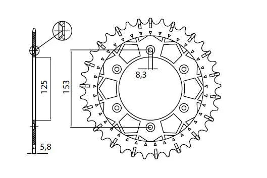 Sunstar Works Z Steel Rear Sprocket