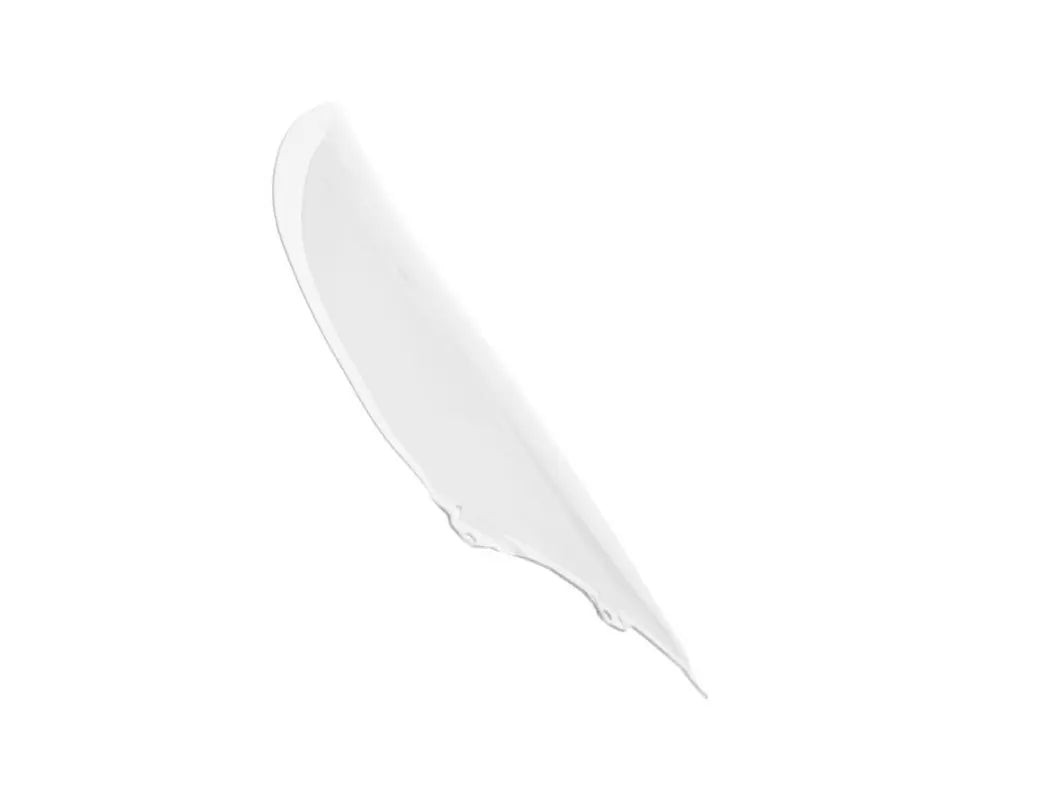 Wrs Caponord Windscreen K1200s/k1300s