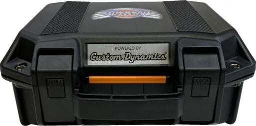 Custom Dynamics Lighting Product Test Case