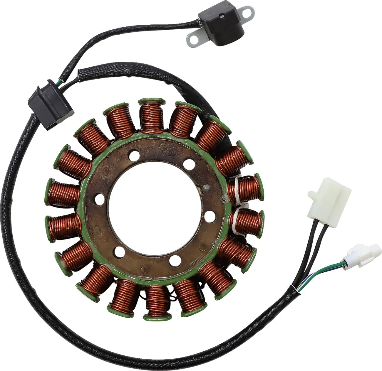 Rick's Motorsport Electric Stator