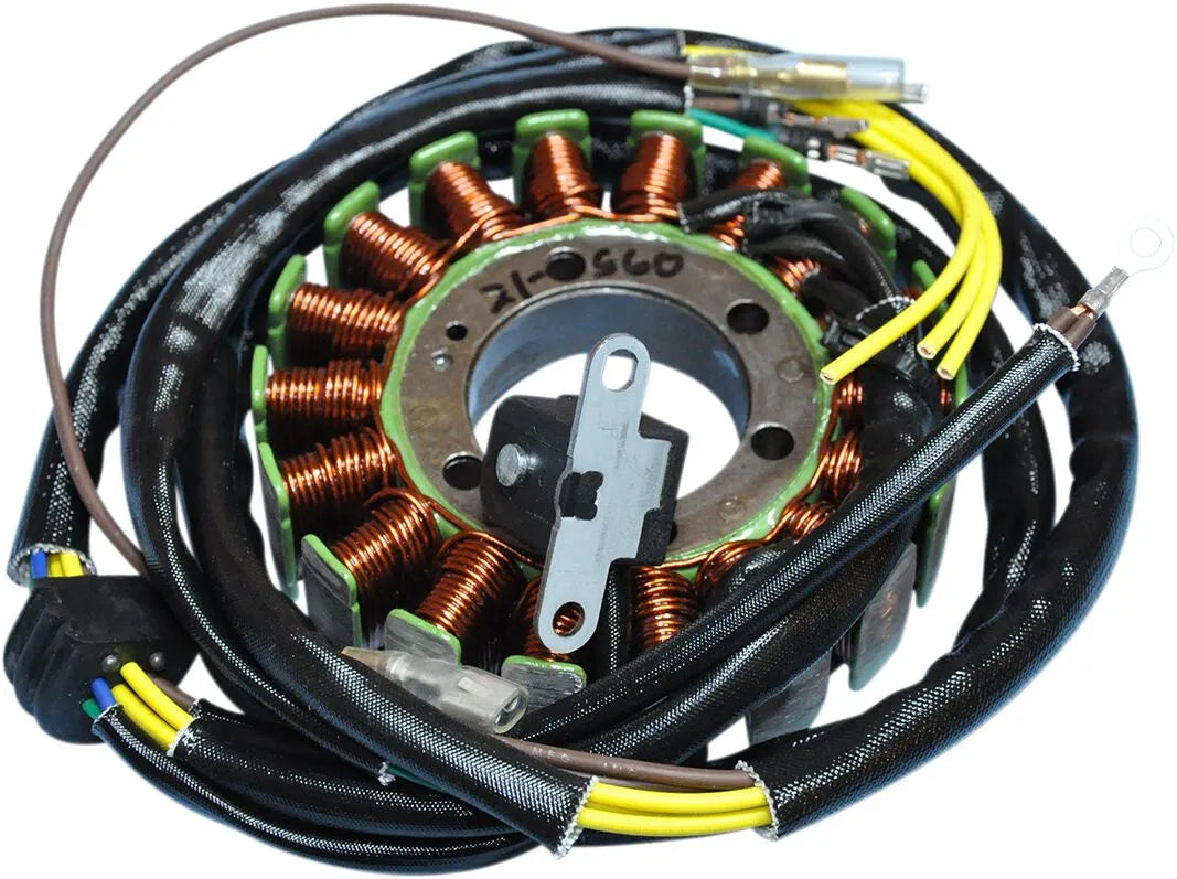 Rick's Motorsport Electric Stator For Polaris